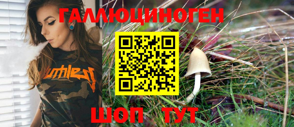 Сочи  Галлюциногенные грибы Magic Shrooms  Вход с VPN 